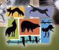 [Folsom City Zoo Sanctuary Logo]