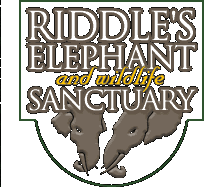 [Riddle’s Elephant and Wildlife Sanctuary Logo]