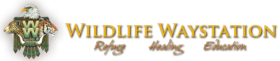[Wildlife WayStation Logo]