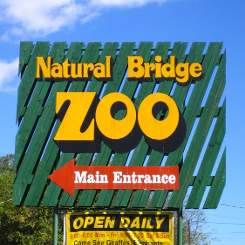 [Natural Bridge Zoo Logo]